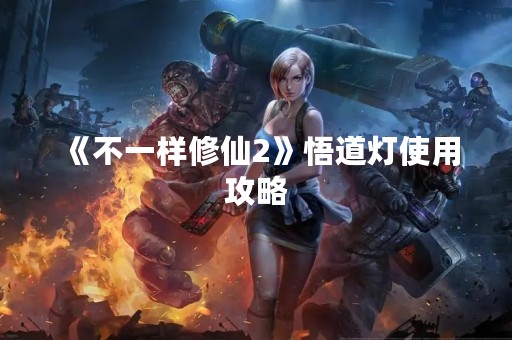 《不一样修仙2》悟道灯使用攻略