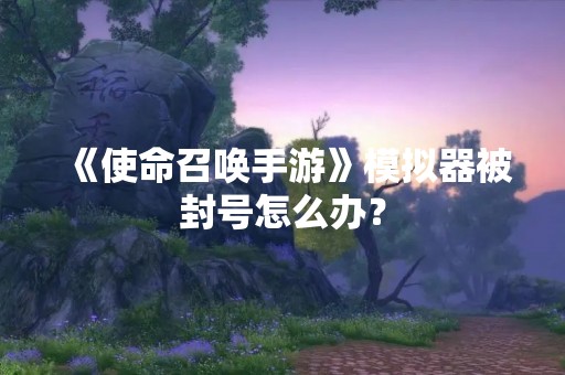 《使命召唤手游》模拟器被封号怎么办？