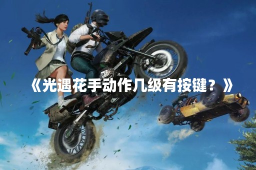 《光遇花手动作几级有按键？》