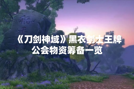 《刀剑神域》黑衣剑士王牌公会物资筹备一览