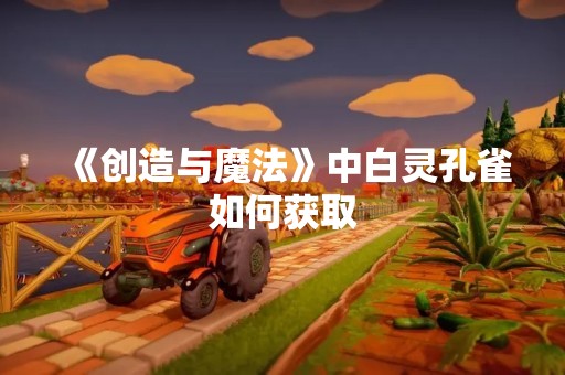 《创造与魔法》中白灵孔雀如何获取