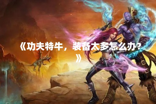 《功夫特牛，装备太多怎么办？》