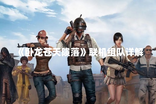 《卧龙苍天陨落》联机组队详解