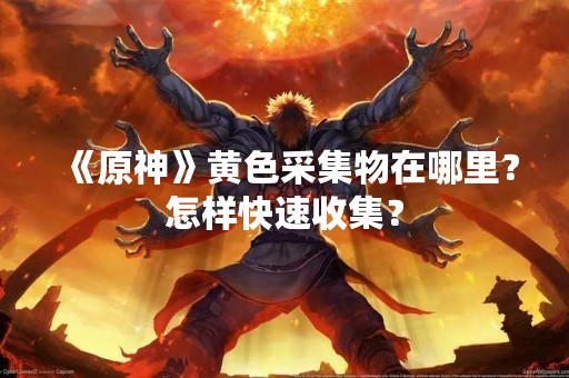 《原神》黄色采集物在哪里？怎样快速收集？