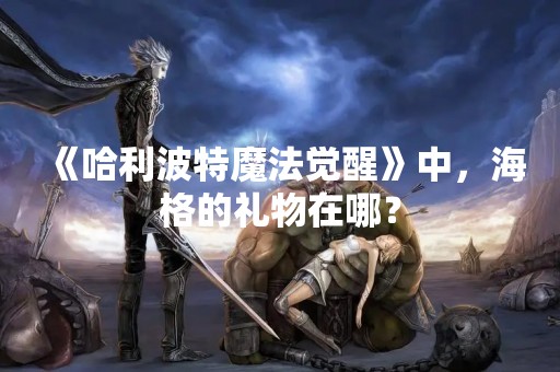 《哈利波特魔法觉醒》中，海格的礼物在哪？