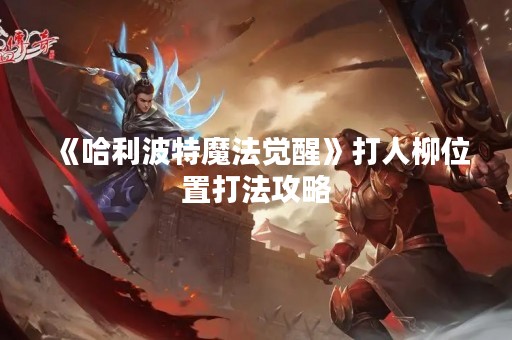 《哈利波特魔法觉醒》**柳位置打法攻略
