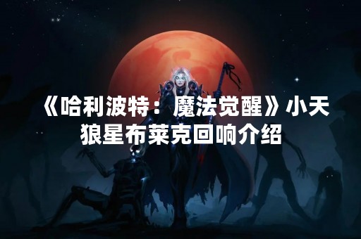 《哈利波特：魔法觉醒》小天狼星布莱克回响介绍