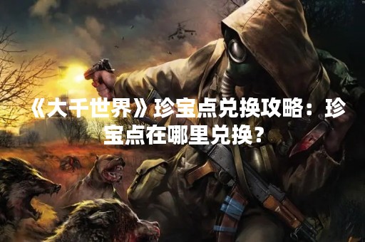 《大千世界》珍宝点兑换攻略：珍宝点在哪里兑换？