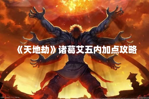 《天地劫》诸葛艾五内加点攻略