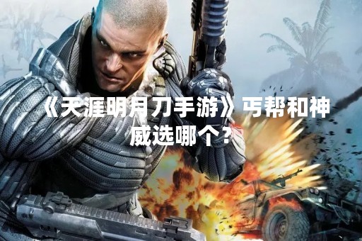 《天涯明月刀手游》丐帮和神威选哪个？