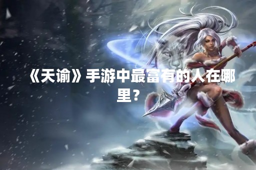 《天谕》手游中最富有的人在哪里？