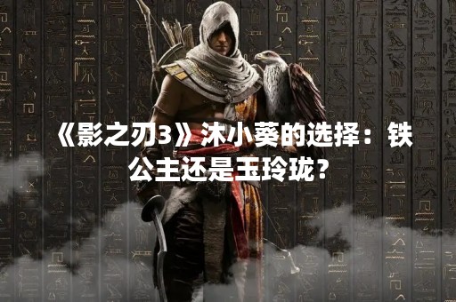 《影之刃3》沐小葵的选择：铁公主还是玉玲珑？