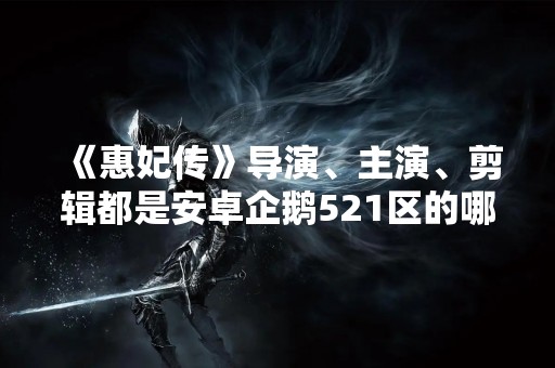 《惠妃传》导演、主演、剪辑都是安卓企鹅521区的哪位少侠？
