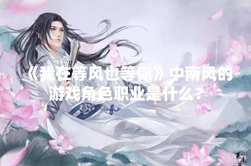 《我在等风也等你》中南风的游戏角色职业是什么？