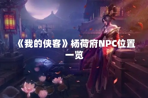 《我的侠客》杨荷府NPC位置一览