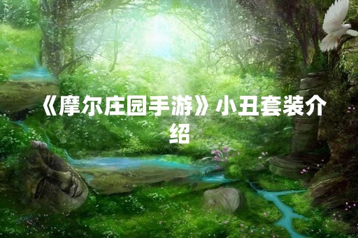《摩尔庄园手游》小丑套装介绍