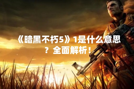 《暗黑不朽5》1是什么意思？全面解析！