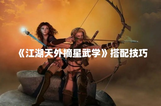《江湖天外摘星武学》搭配技巧