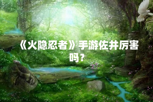 《火隐忍者》手游佐井厉害吗？
