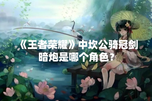 《王者荣耀》中坎公骑冠剑暗炮是哪个角色？