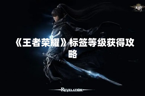 《王者荣耀》标签等级获得攻略