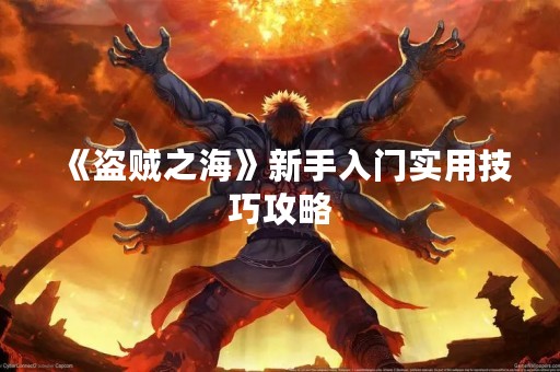 《盗贼之海》新手入门实用技巧攻略