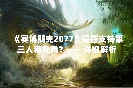 《赛博朋克2077》是否支持第三人称视角？——详细解析