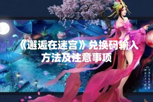 《邂逅在迷宫》兑换码输入方法及注意事项