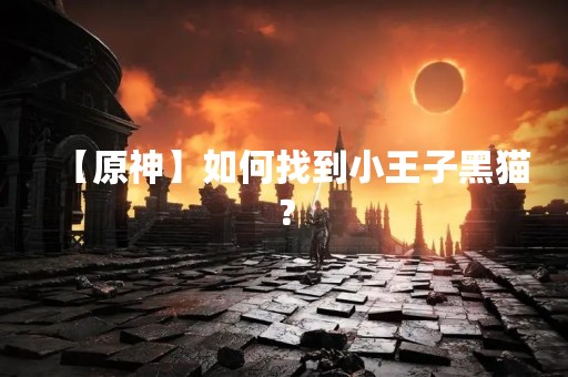 【原神】如何找到小王子黑猫？