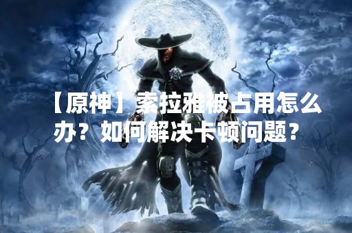 【原神】索拉雅被占用怎么办？如何解决卡顿问题？