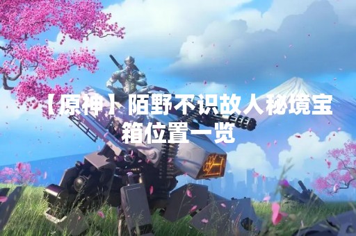 【原神】陌野不识故人秘境宝箱位置一览