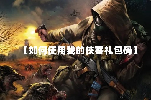 【如何使用我的侠客礼包码】