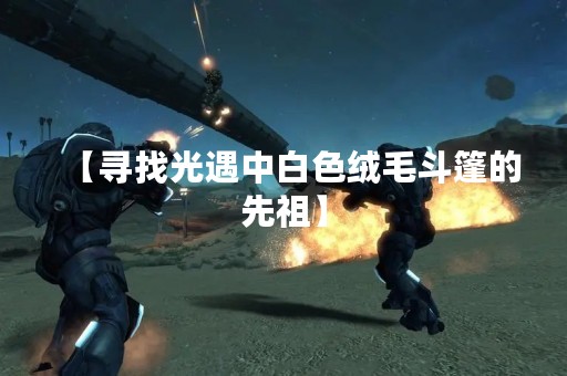 【寻找光遇中白色绒毛斗篷的先祖】