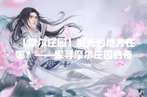 【摩尔庄园】发光的地方在哪？——探寻摩尔庄园的奇妙之处