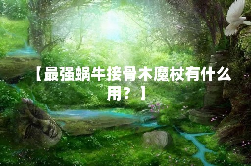 【最强蜗牛接骨木魔杖有什么用？】