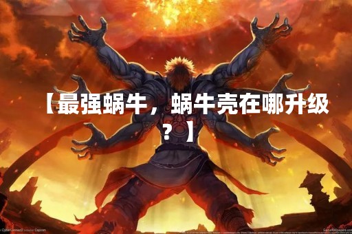 【最强蜗牛，蜗牛壳在哪升级？】