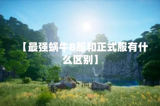 【最强蜗牛B服和正式服有什么区别】