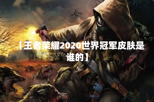 【王者荣耀2020世界冠军皮肤是谁的】