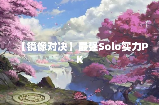 【镜像对决】最强Solo实力PK