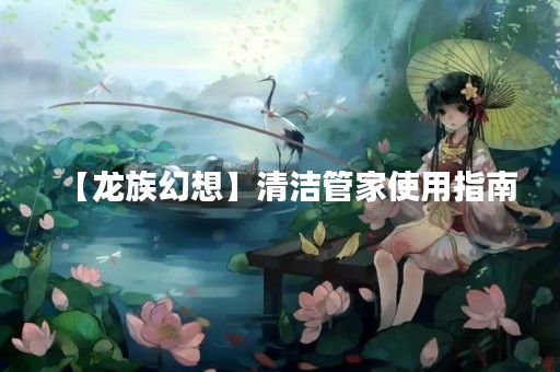 【龙族幻想】清洁管家使用指南