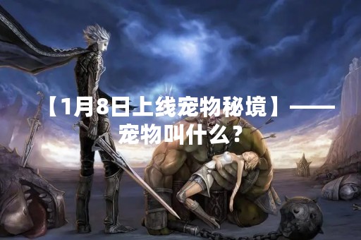 【1月8日上线宠物秘境】——宠物叫什么？