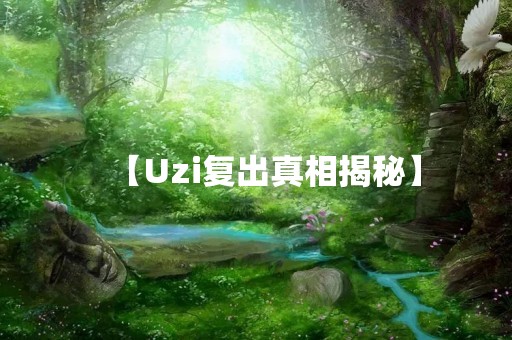 【Uzi复出真相揭秘】
