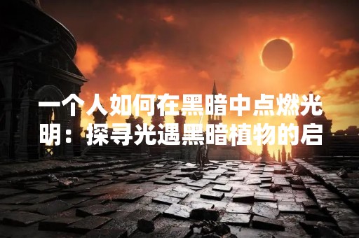 一个人如何在黑暗中点燃光明：探寻光遇黑暗植物的启示