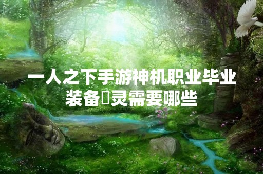 一人之下手游神机职业毕业装备炁灵需要哪些