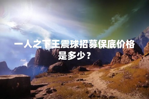 一人之下王震球招募保底价格是多少？