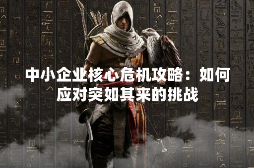 中小企业核心危机攻略：如何应对突如其来的挑战