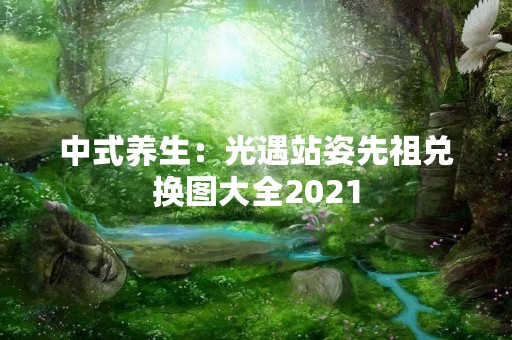中式养生：光遇站姿先祖兑换图大全2021