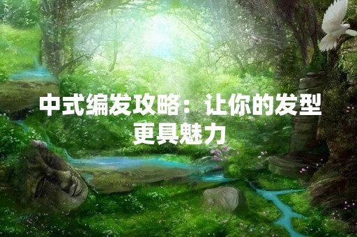 中式编发攻略：让你的发型更具魅力
