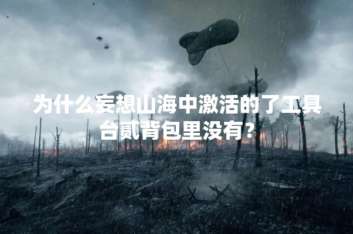 为什么妄想山海中激活的了工具台贰背包里没有？