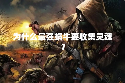为什么最强蜗牛要收集灵魂？